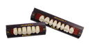 NOBILDENT Delux EPN Anterior Denture Teeth