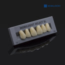 NOBILDENT Select XL Lower Anterior Denture Teeth (Sell by box)