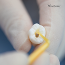 HugeBond Universal Light Cure Dental Adhesive