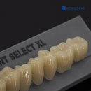 NOBILDENT Select XL Posterior Denture Teeth（Sell by Box）
