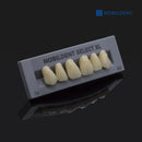 NOBILDENT Select XL Upper Anterior Denture Teeth (Sell by box)
